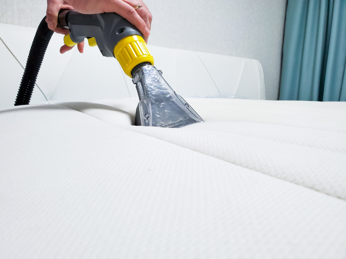spring cleaning or regular cleaning. clean the mattress